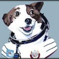 Agentforge icon