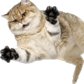 Soul Mcp Server icon
