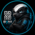 B4n1Web icon