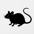 rag-rat icon