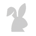 LiteScope icon