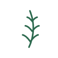 Alchemy icon