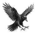 Munin icon