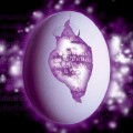Mcp Tomticket icon