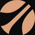 Gondola icon