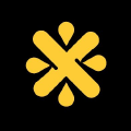 Designesy icon