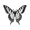 Composer icon