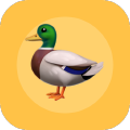 PrintYourDuck Quote icon