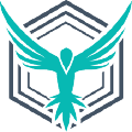 Stackhawk icon