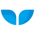 Whalesync icon